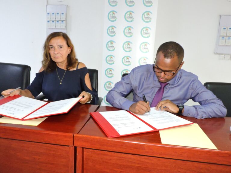 Energies vertes : une nouvelle source energetique propre mise en evidence à Djibouti.